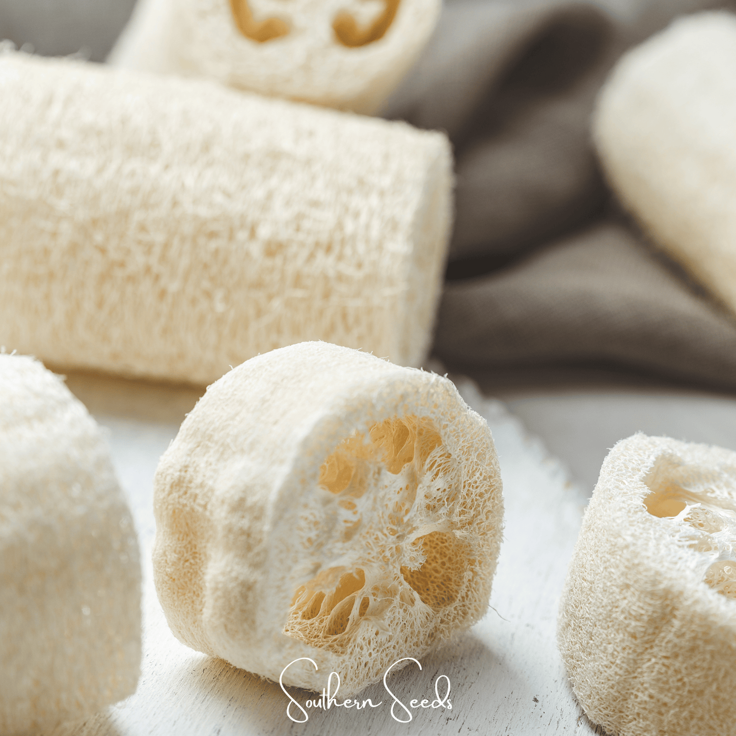Close-up of white Luffa Gourds with a brand name on a light background