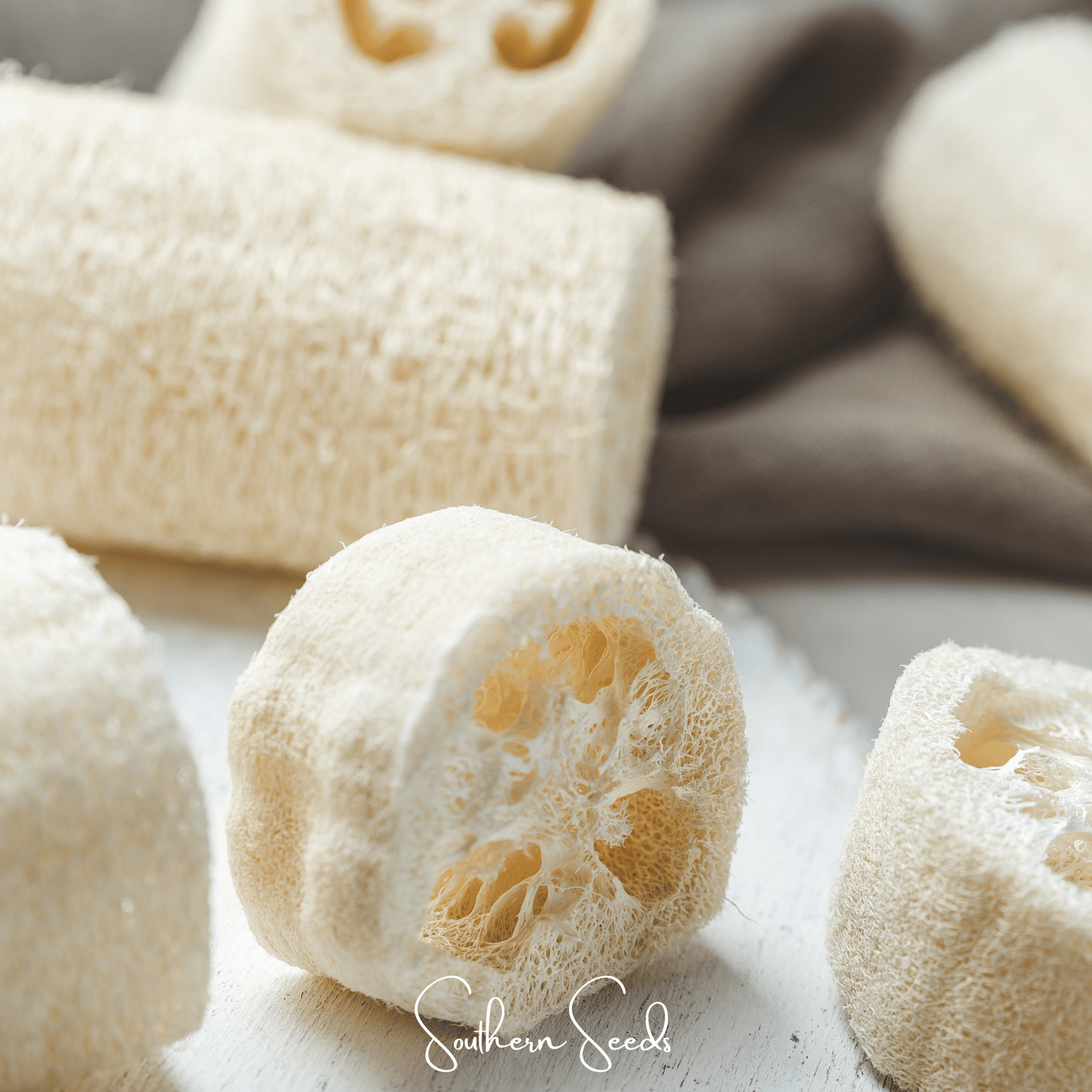 Close-up of white Luffa Gourds with a brand name on a light background