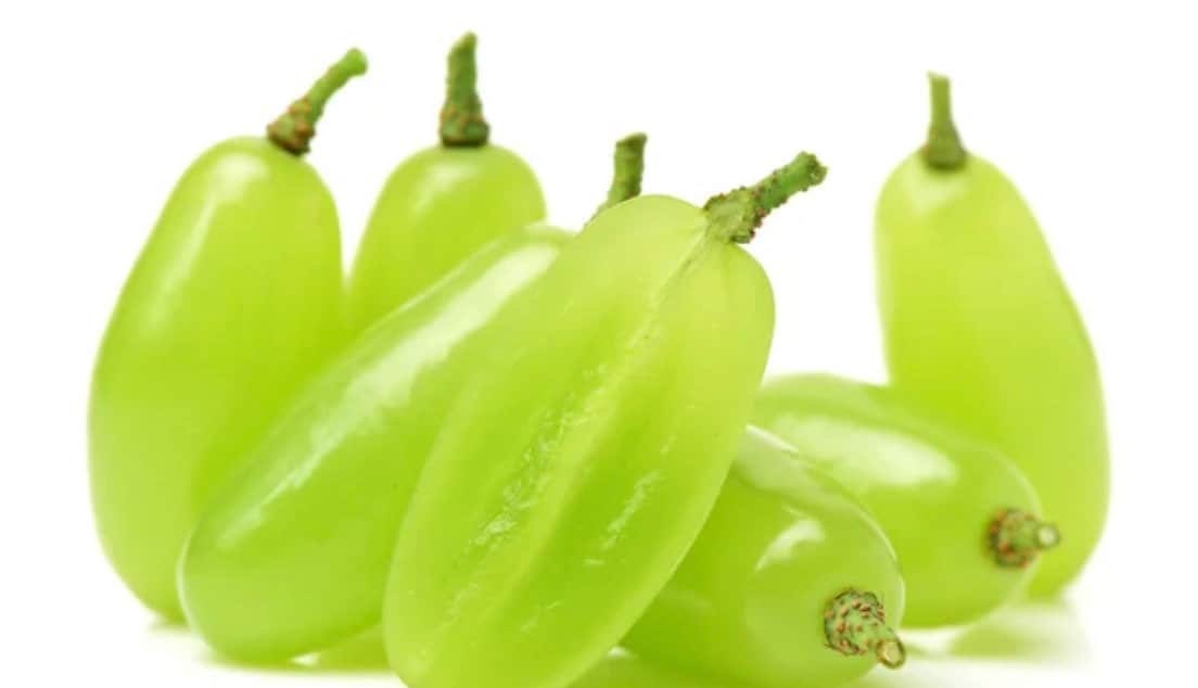 Green Finger Grape Heirloom Seeds - Vitus Vinifera - Non GMO - Tasty Sweet Fruit