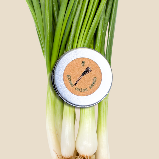 Organic Green Onion Seeds