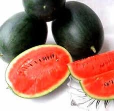 Heirloom Organic Black Diamond Watermelon Seeds (aka Cannonball Watermelon, Florida Giant Watermelon)