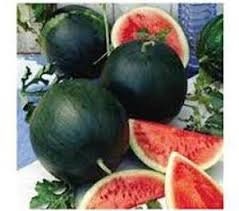 Heirloom Organic Black Diamond Watermelon Seeds (aka Cannonball Watermelon, Florida Giant Watermelon)