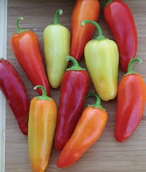 Heirloom Organic Santa Fe Hot Pepper Seeds (A.K.A. Guero Pepper, Yellow Guero Chili Pepper, Yellow Hot Chili Pepper)