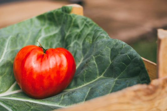 VERY RARE Organic Heirloom Rose De Summer Tomato Seeds