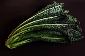 Heirloom Organic Black Magic Lacinato Kale Seeds