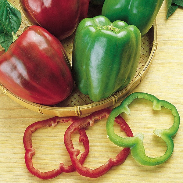Organic Heirloom Calwonder Bell Pepper Seeds