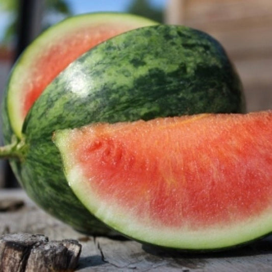 Heirloom Organic Wilson's Sweet Watermelon Seeds