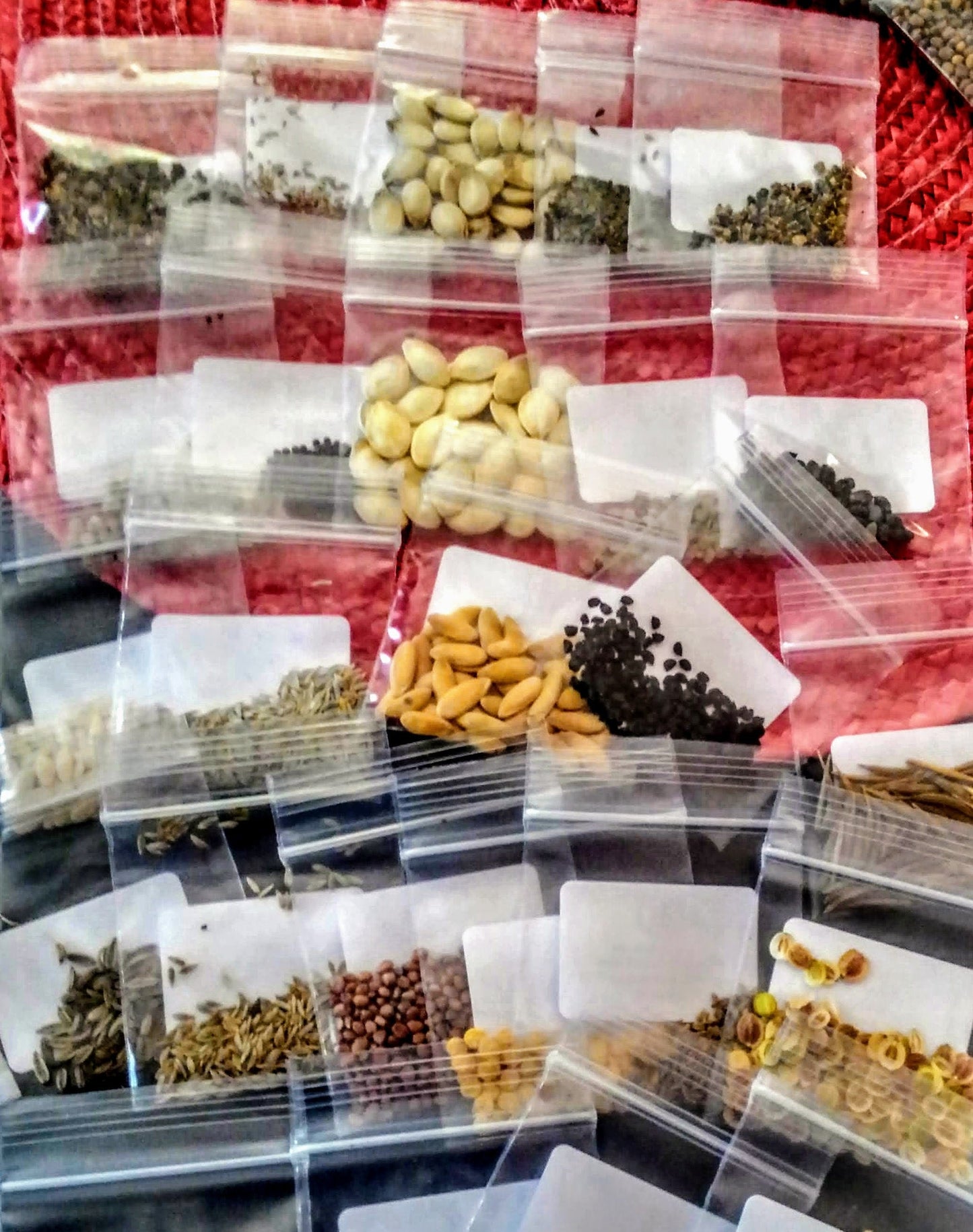 Organic Survival Seed bank 105 Variety Ultimate Heirloom Seed Vault for Survival and Preparedness