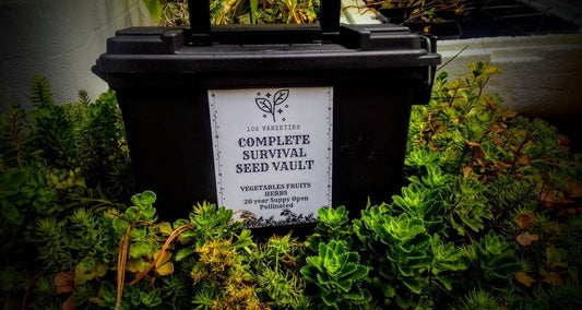 Military grade Survival Seed Bank 75 Variety Seed Vault