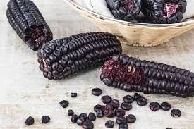 Black corn cobs and kernels on a wooden surface with a woven basket in the background.
