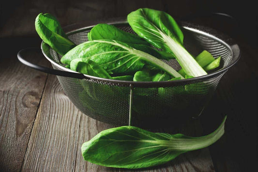 Heirloom Organic Tatsoi Mustard Greens Seeds