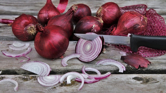 Heirloom Organic Red Creole Onion Seeds