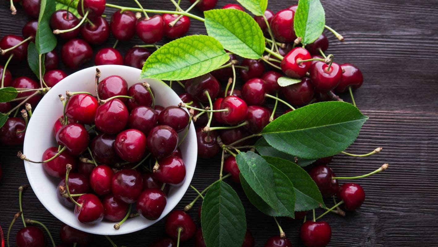 Organic Bing Cherry Tree Seeds aka Prunus avium Bing, !Seeds for the beautiful Fruit tree with the amazing and beautiful cherry blossoms!