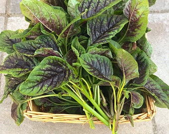 Basket of fresh green and purple Amaranth on a stone surface