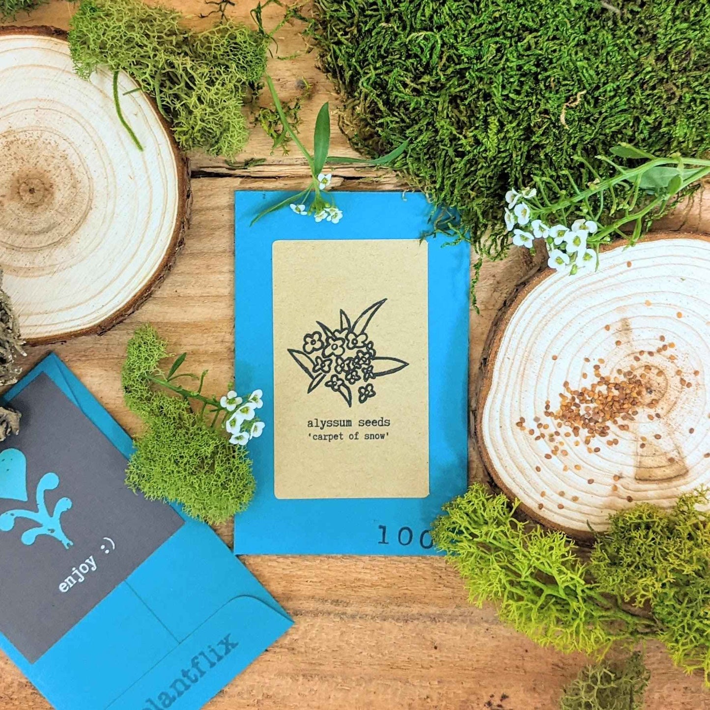 "Indoor Blooms" Seed Collection