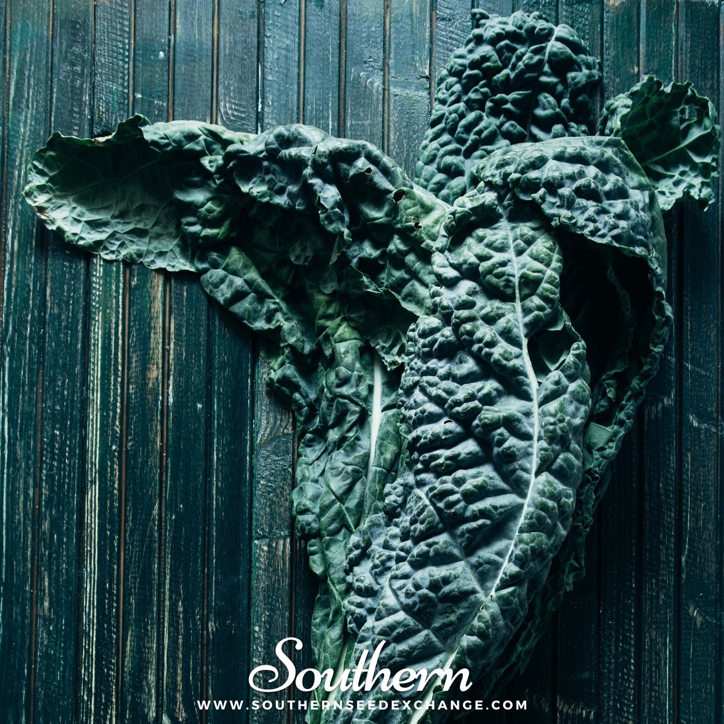 Green leafy kale on a wooden surface with 'Southern' branding.