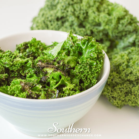 Bowl of green kale with a blurred background