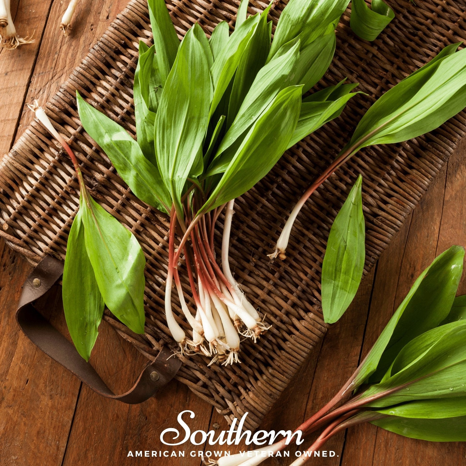 Bunch of green ramps on a woven basket with 'Southern' branding.