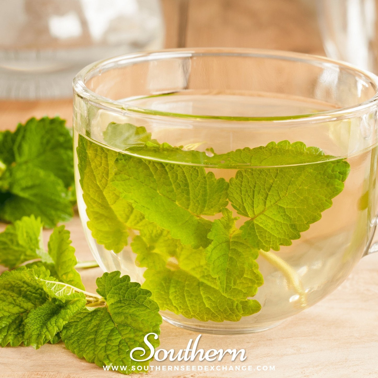 Clear glass mug filled with lemon balm tea leaves on a wooden surface, with 'Southern' branding visible.