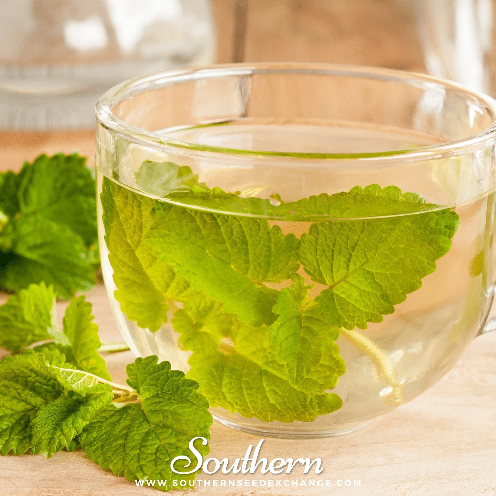 Clear glass mug filled with lemon balm tea leaves on a wooden surface, with 'Southern' branding visible.