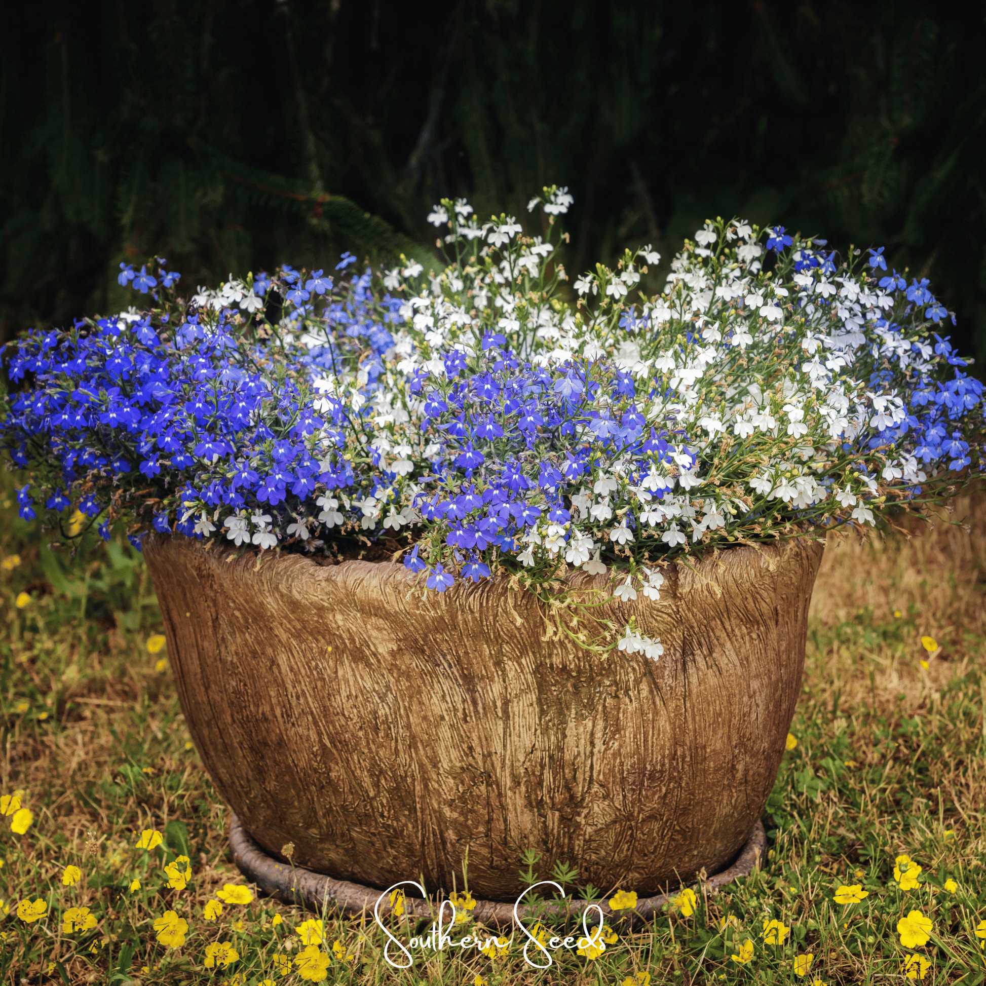 Decorative planter with blue and white flowers in a garden setting