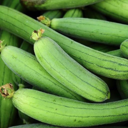 Close-up of luffa with a blurred background