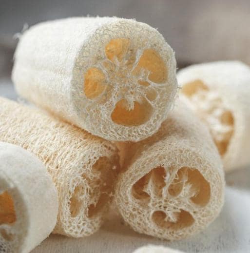 Close-up of loofah sponges with a soft focus background