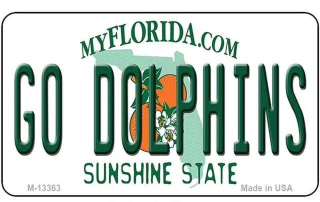 Go Dolphins Metal  Refrigerator Magnet