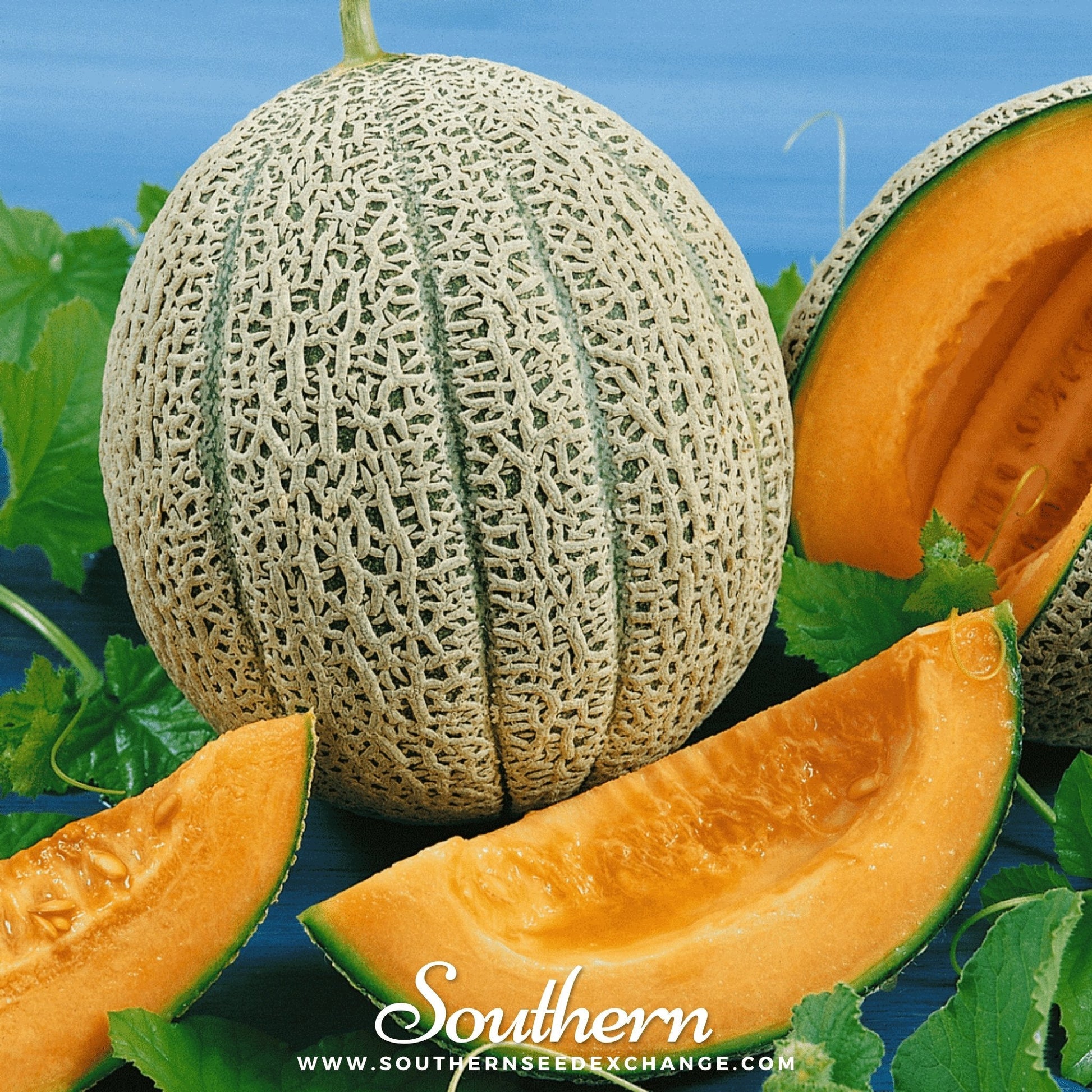 Whole and sliced cantaloupe with green leaves on a blue background, featuring the brand 'Southern'.