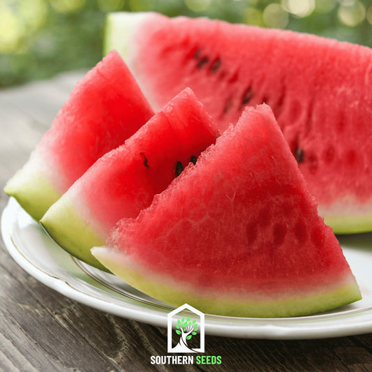 Melon Seed Collection (Watermelon • Cantaloupe • Honeydew)