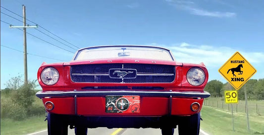 Ford Mustang On Country Road