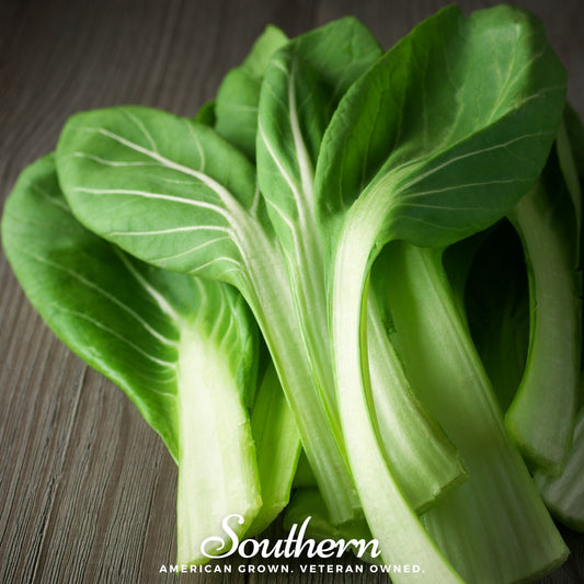 Tatsoi Mustard – 100 Seeds