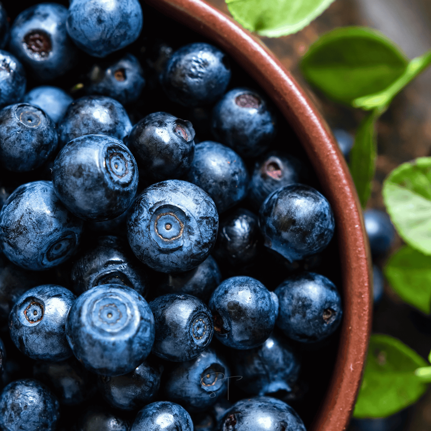 Close-up of a bowl filled with blueberries surrounded by green leaves.