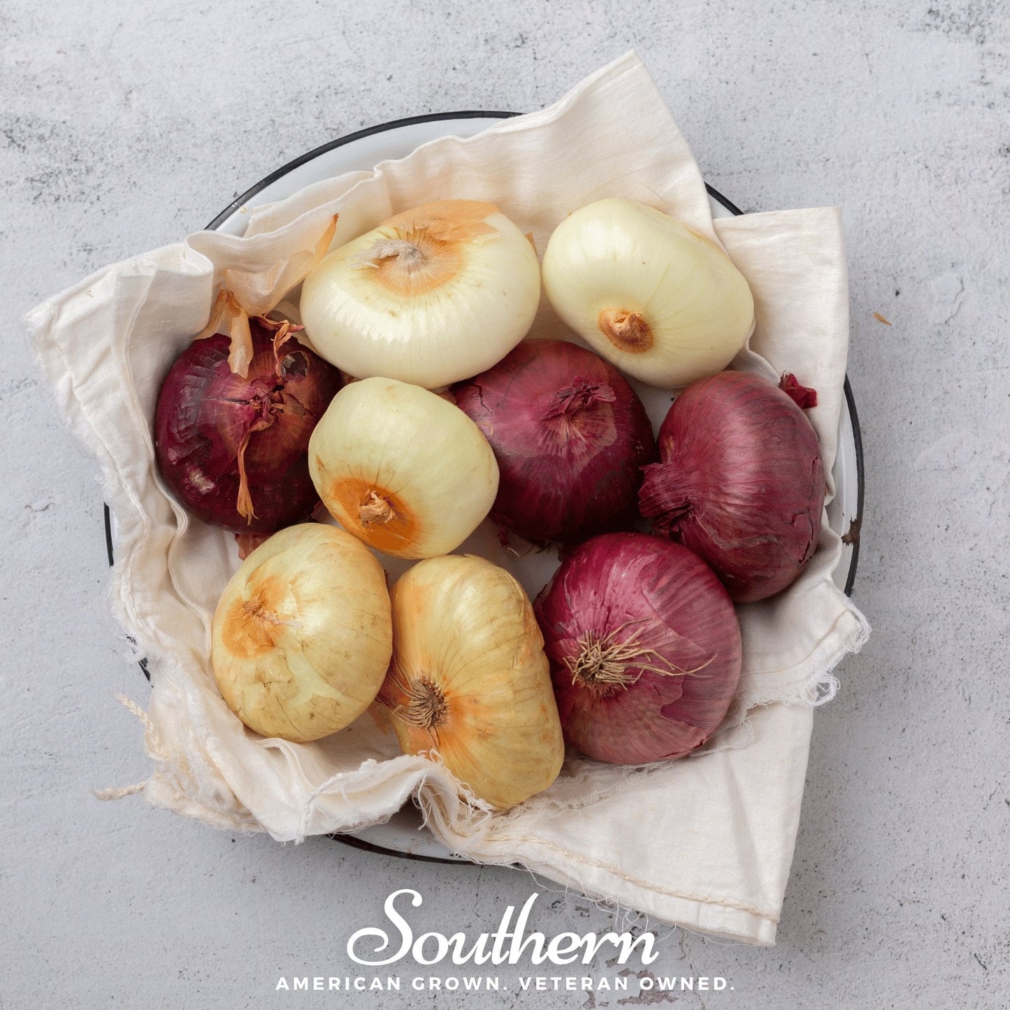 Cipollini Red Onion – 100 Seeds