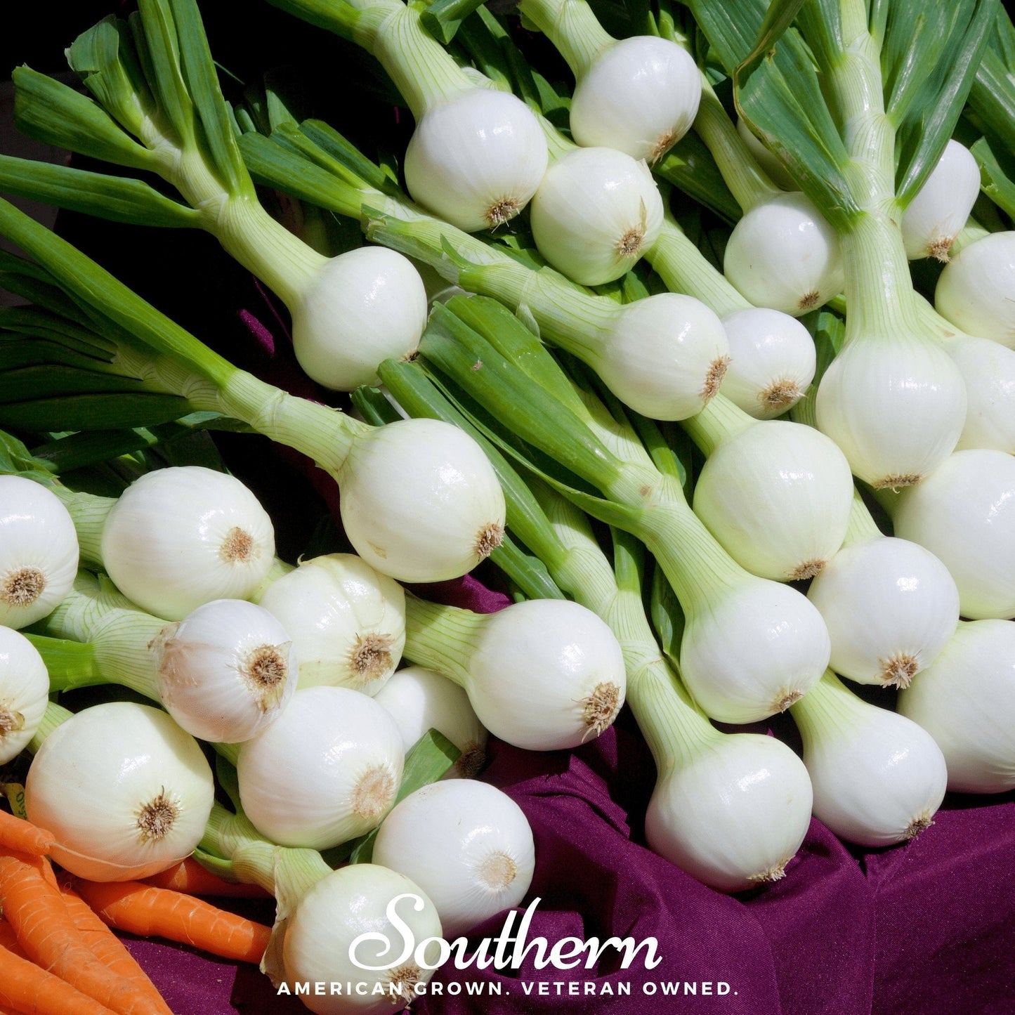 Bunch of white onions with green stems on a purple cloth, with 'Southern' brand logo.