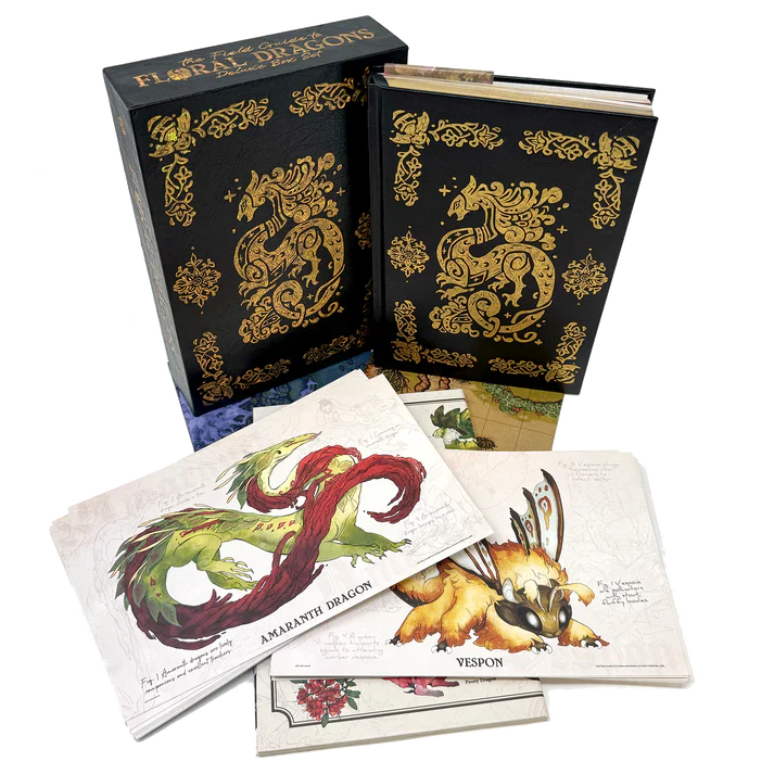 Decorative books with dragon illustrations and a box on a white background