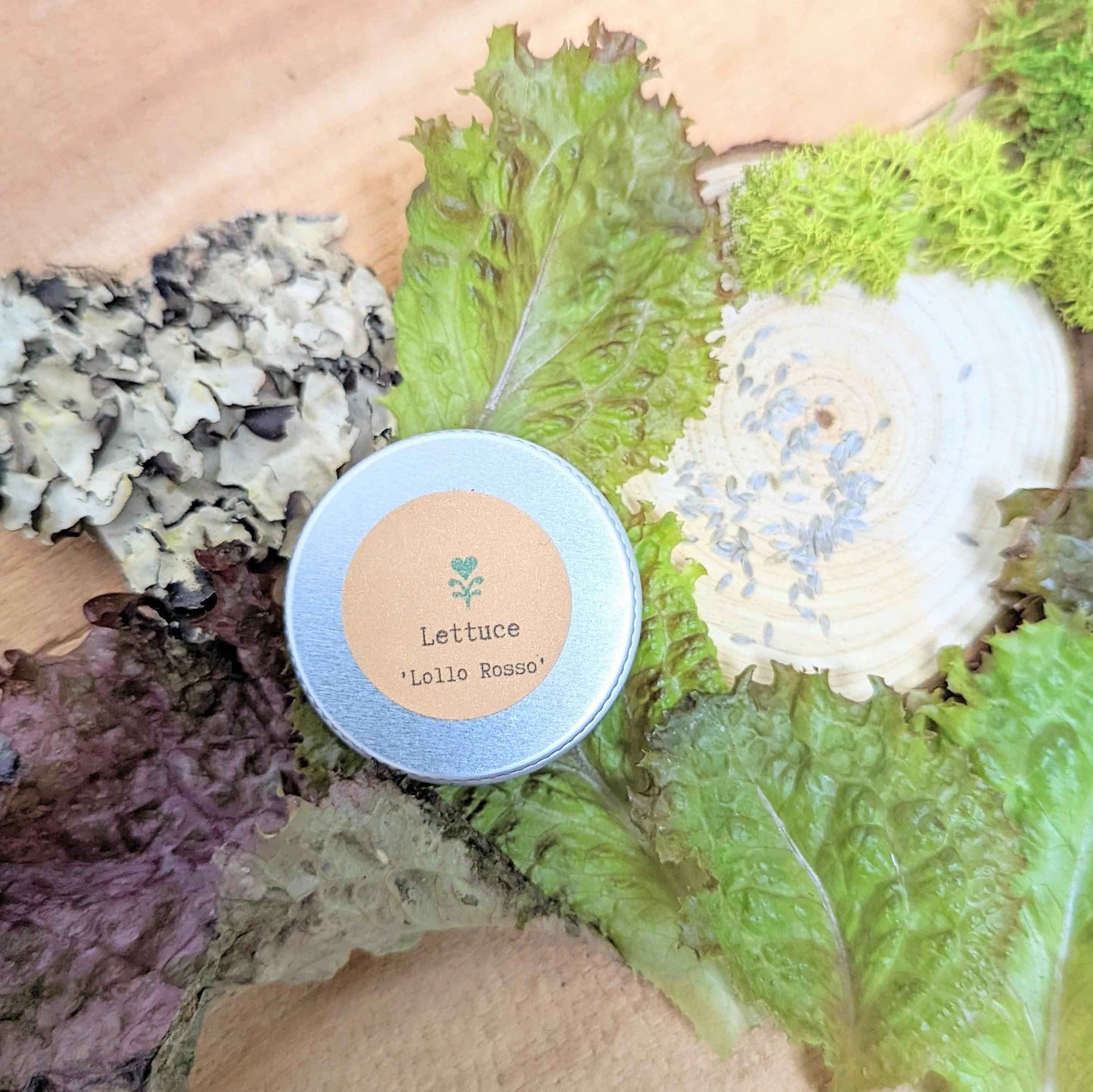 Small container labeled 'Lettuce Lollo Rosso' surrounded by various types of lettuce.