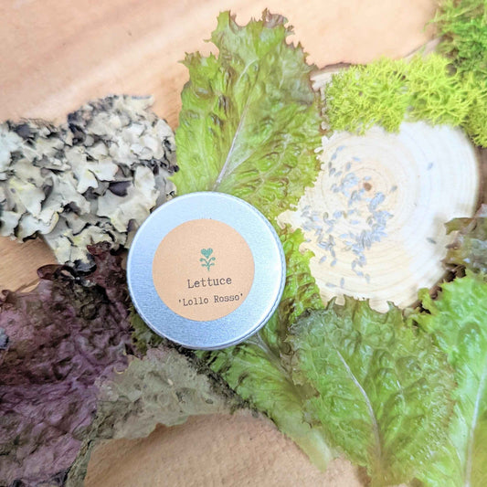 Small container labeled 'Lettuce Lollo Rosso' surrounded by various types of lettuce.