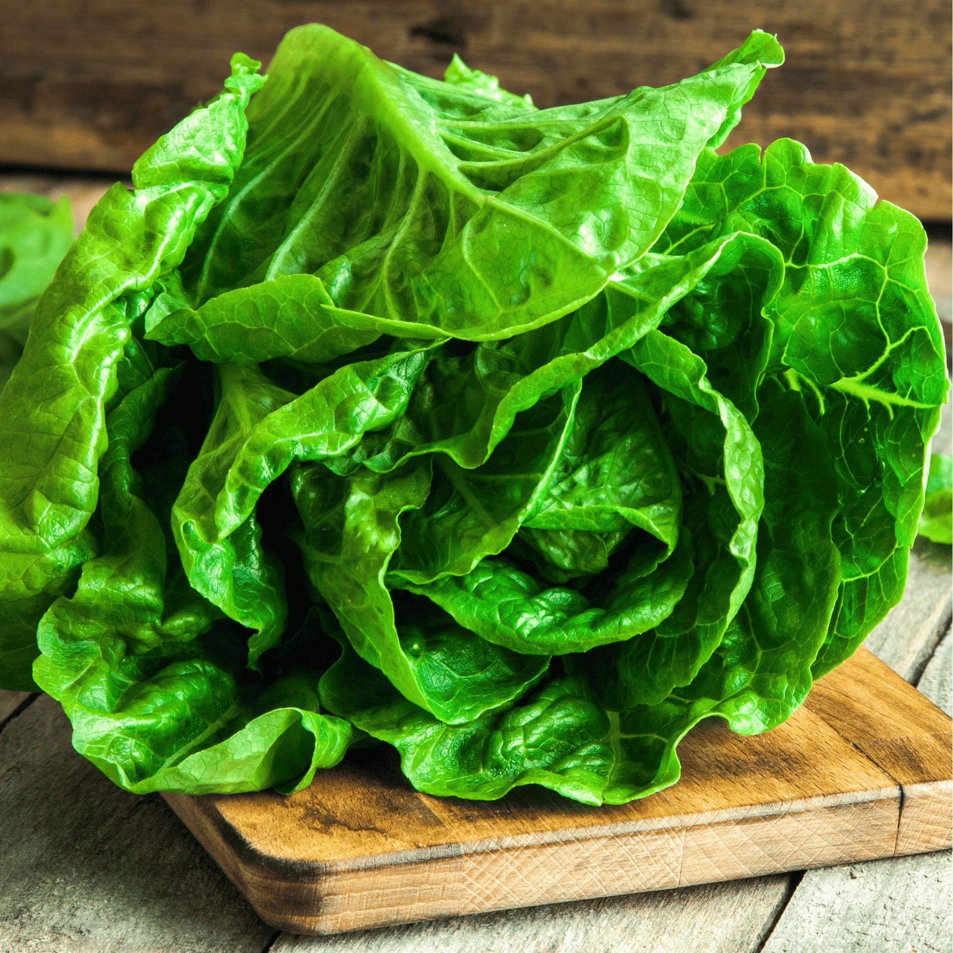 Green leafy lettuce on a wooden cutting board with a rustic background