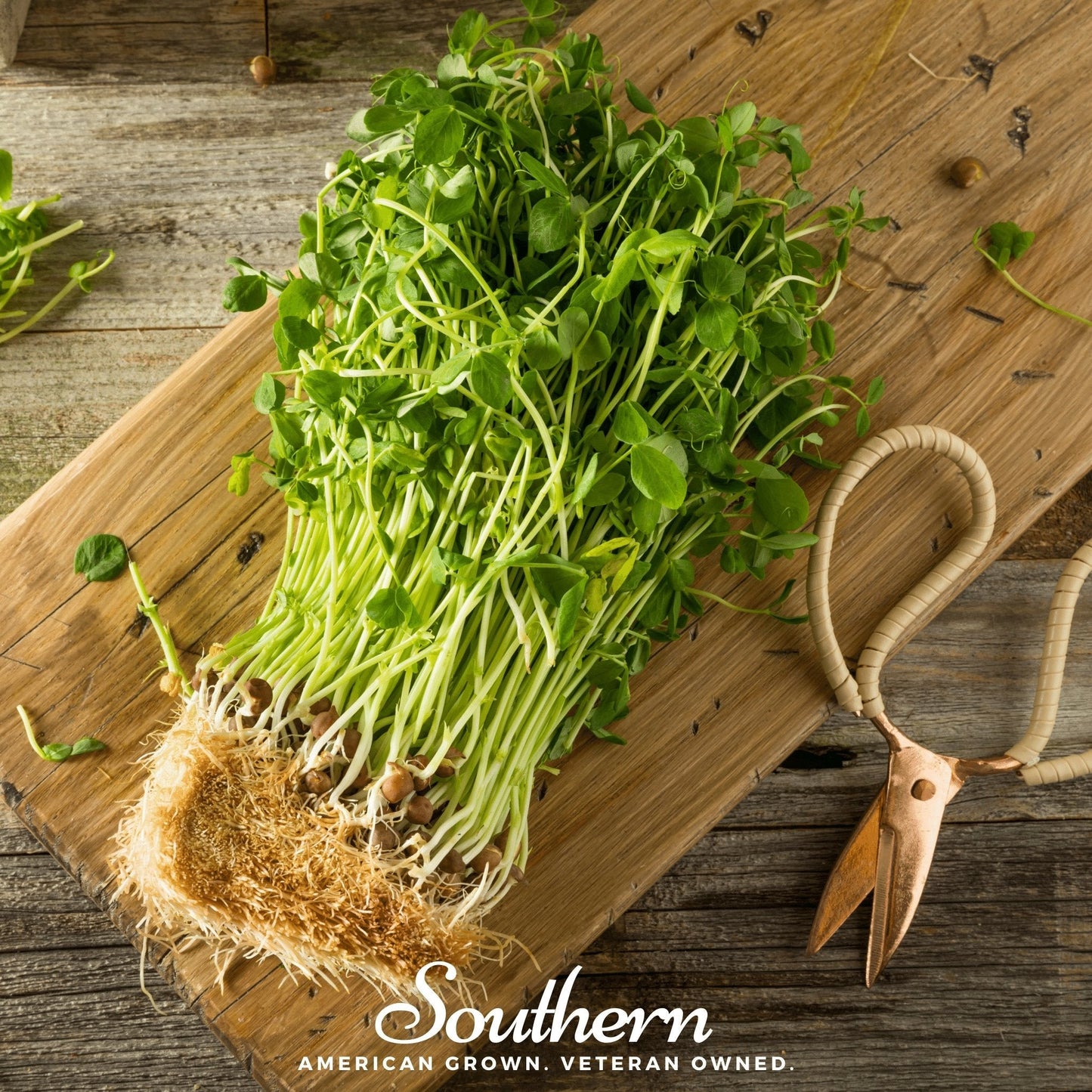 Field Shoots Peas – 100 Seeds