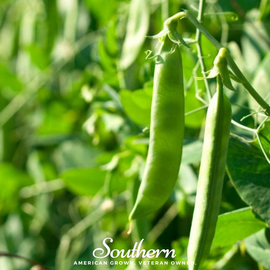 Two green peas on a vine with a blurred green background, featuring the 'Southern' brand.