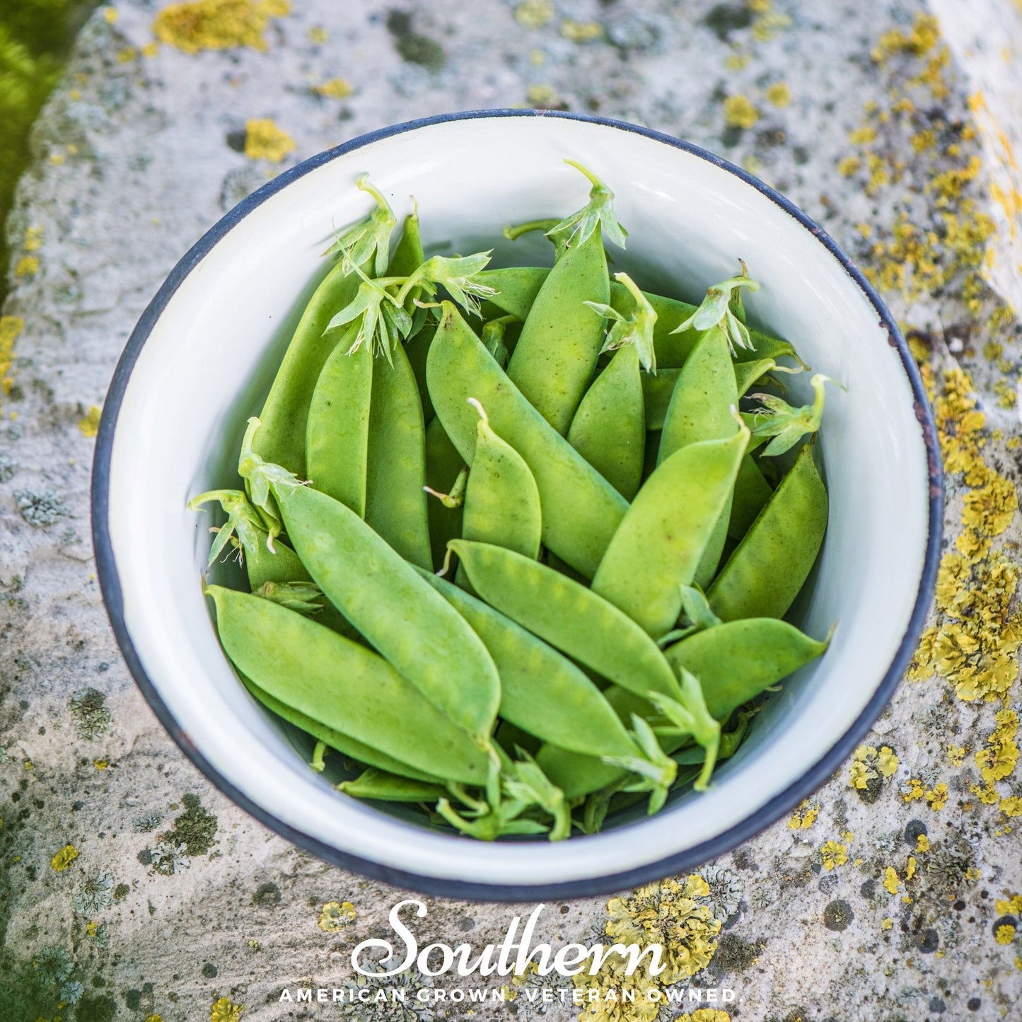 Green peas in a white bowl with blue rim on a textured stone surface, featuring the brand 'Southern'.