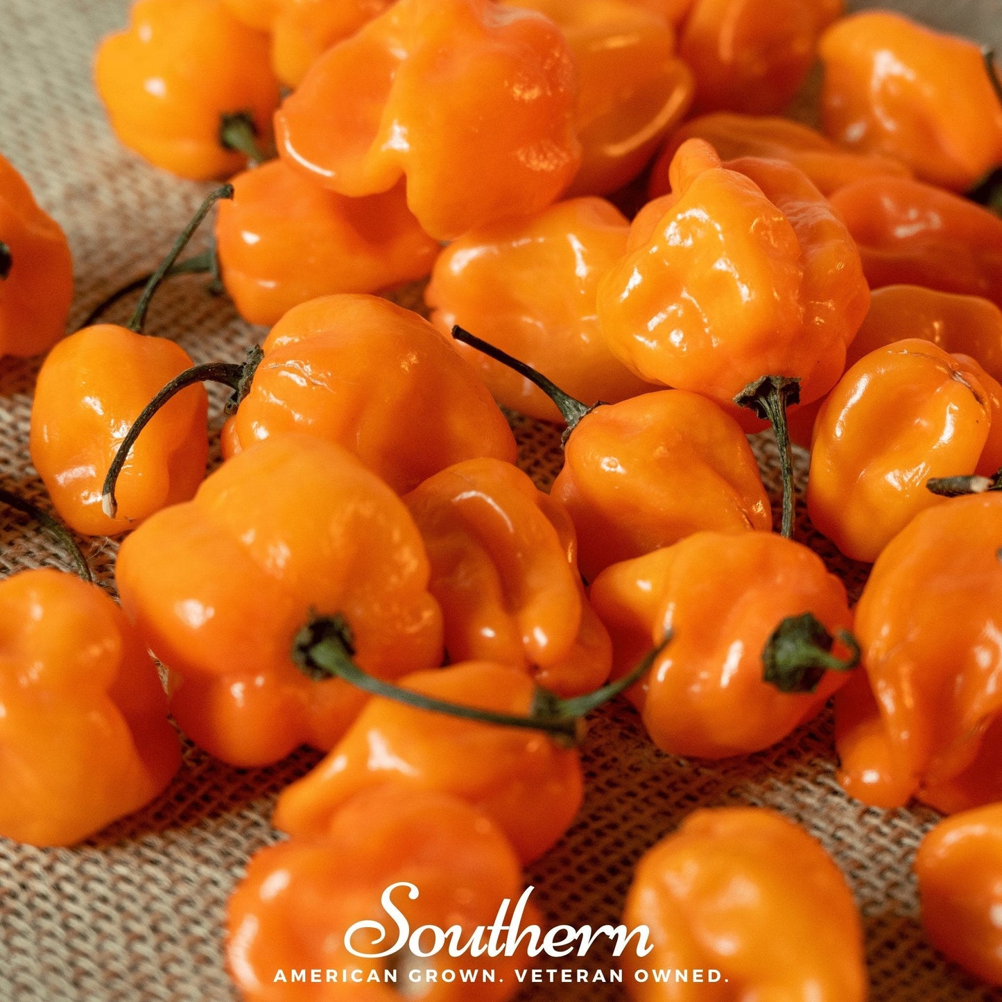 Close-up of bright orange peppers with 'Southern' brand text on a textured background