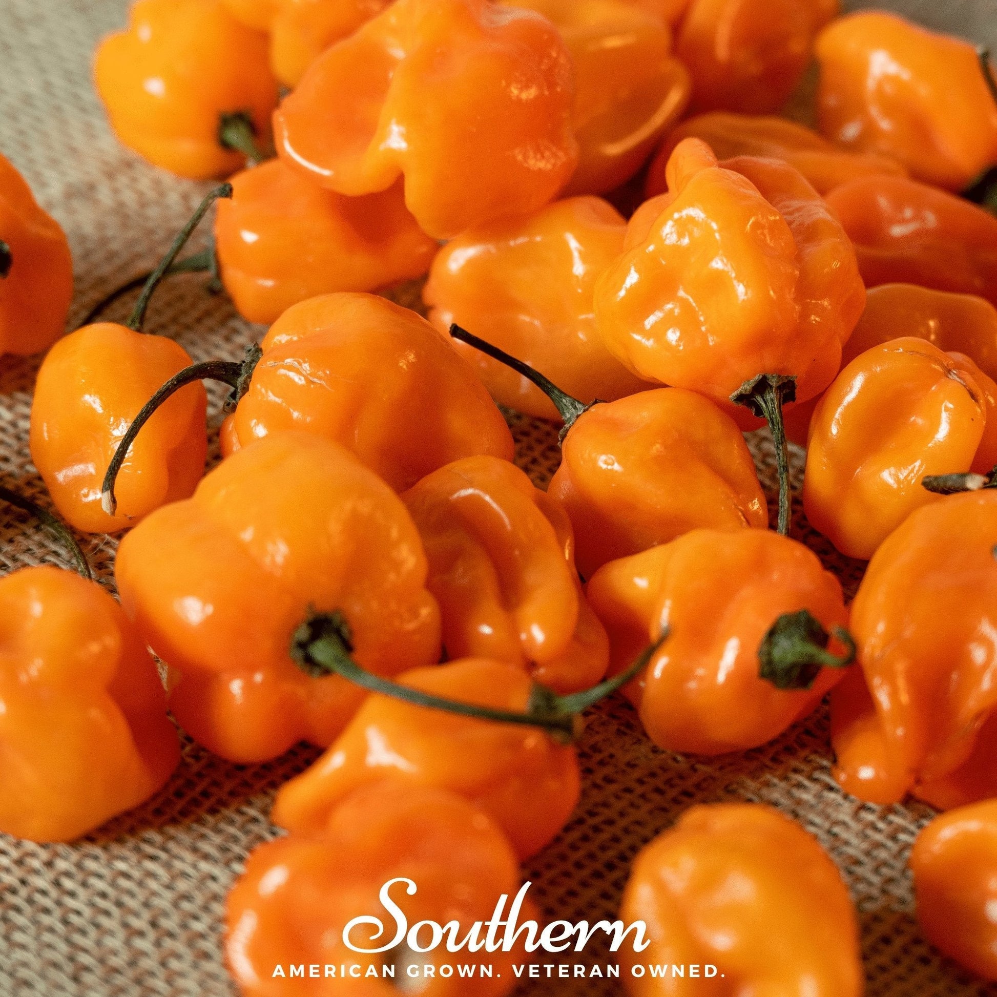 Close-up of bright orange peppers with 'Southern' brand text on a textured background