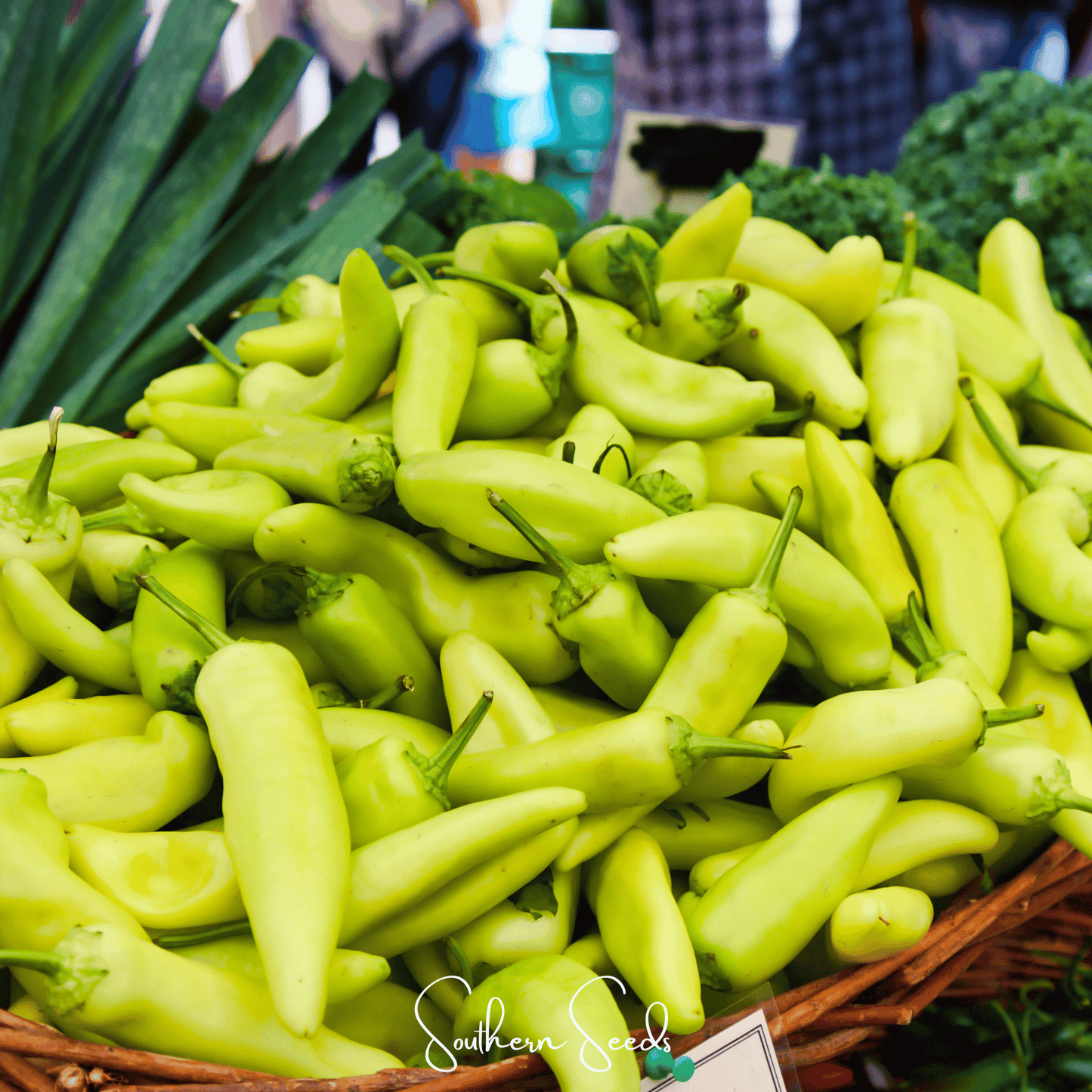 Hungarian Wax Pepper – 30 Seeds