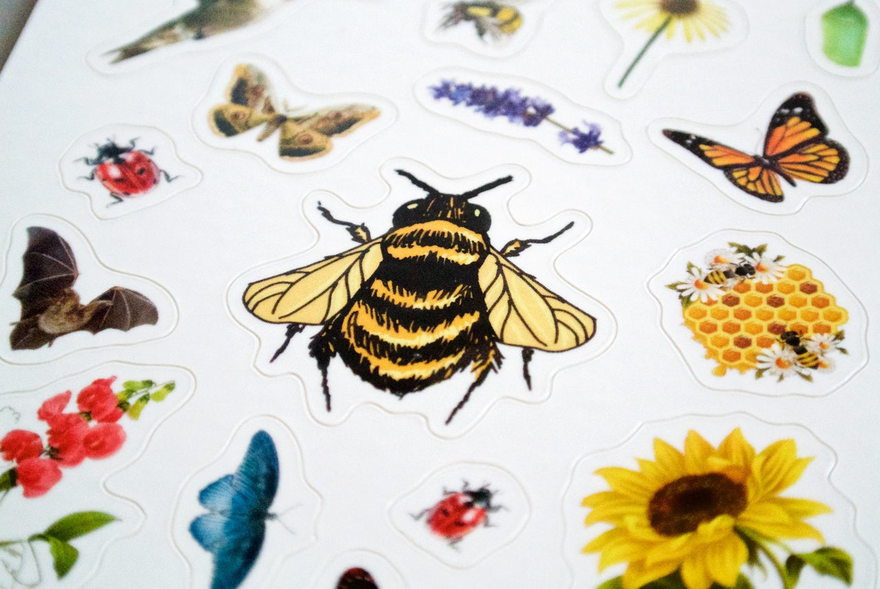 Collection of colorful stickers featuring insects and flowers on a white background