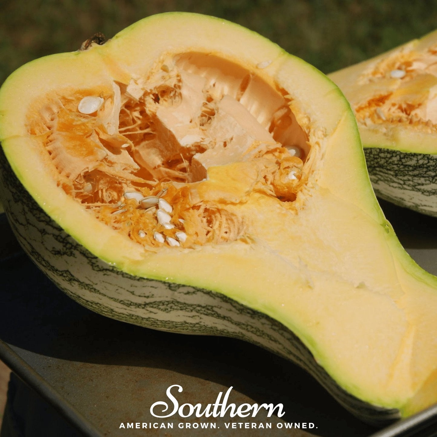 Cushaw Green Striped Pumpkin – 25 Seeds