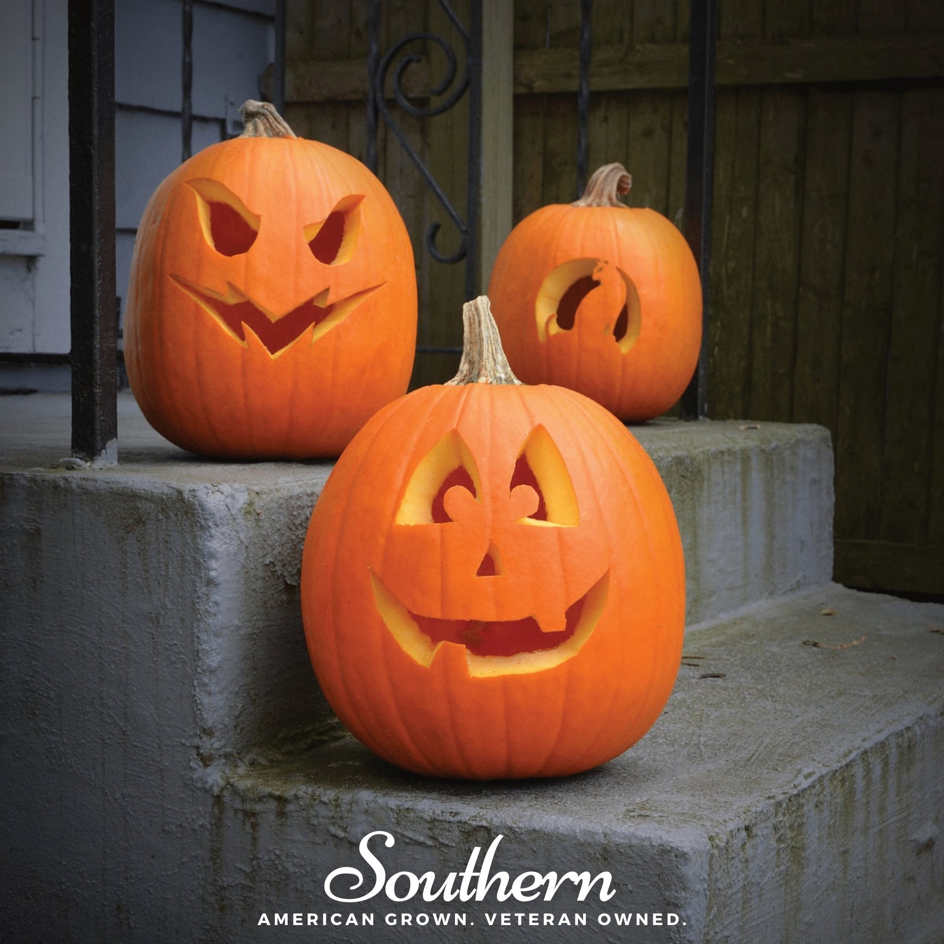 Three carved pumpkins on a concrete step with 'Southern' branding.