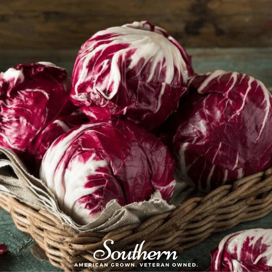 Basket of radicchio with 'Southern' brand logo in the corner