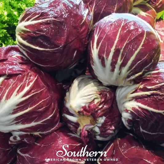 Red radicchio heads with 'Southern' brand logo in the corner.